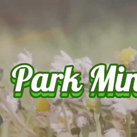 Recent activity shot of Park Minyoung
