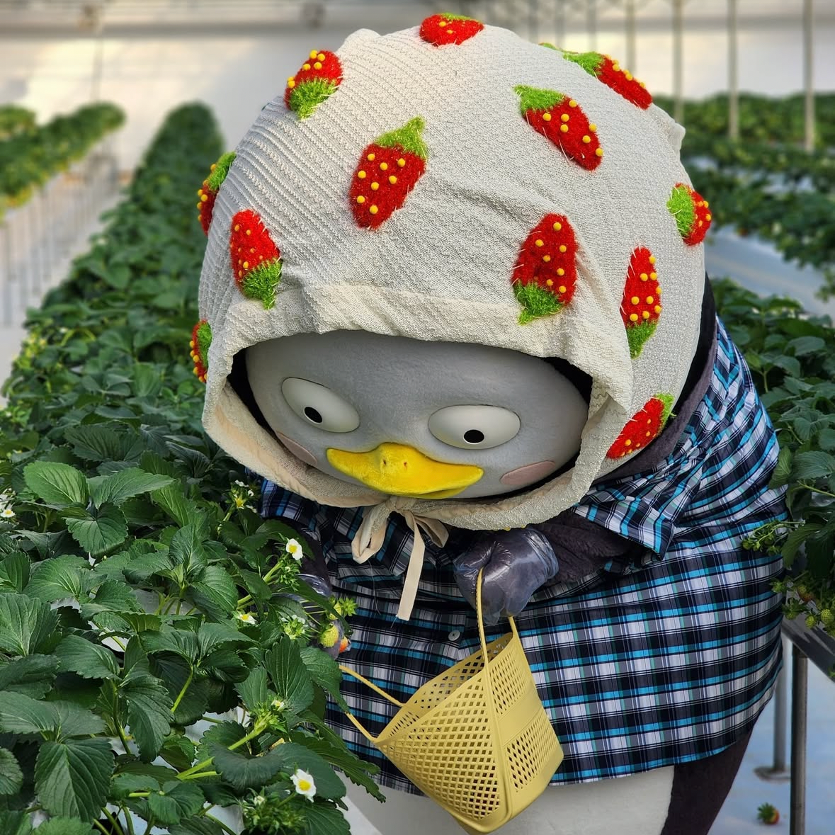 Foto terbaru dari Pengsoo