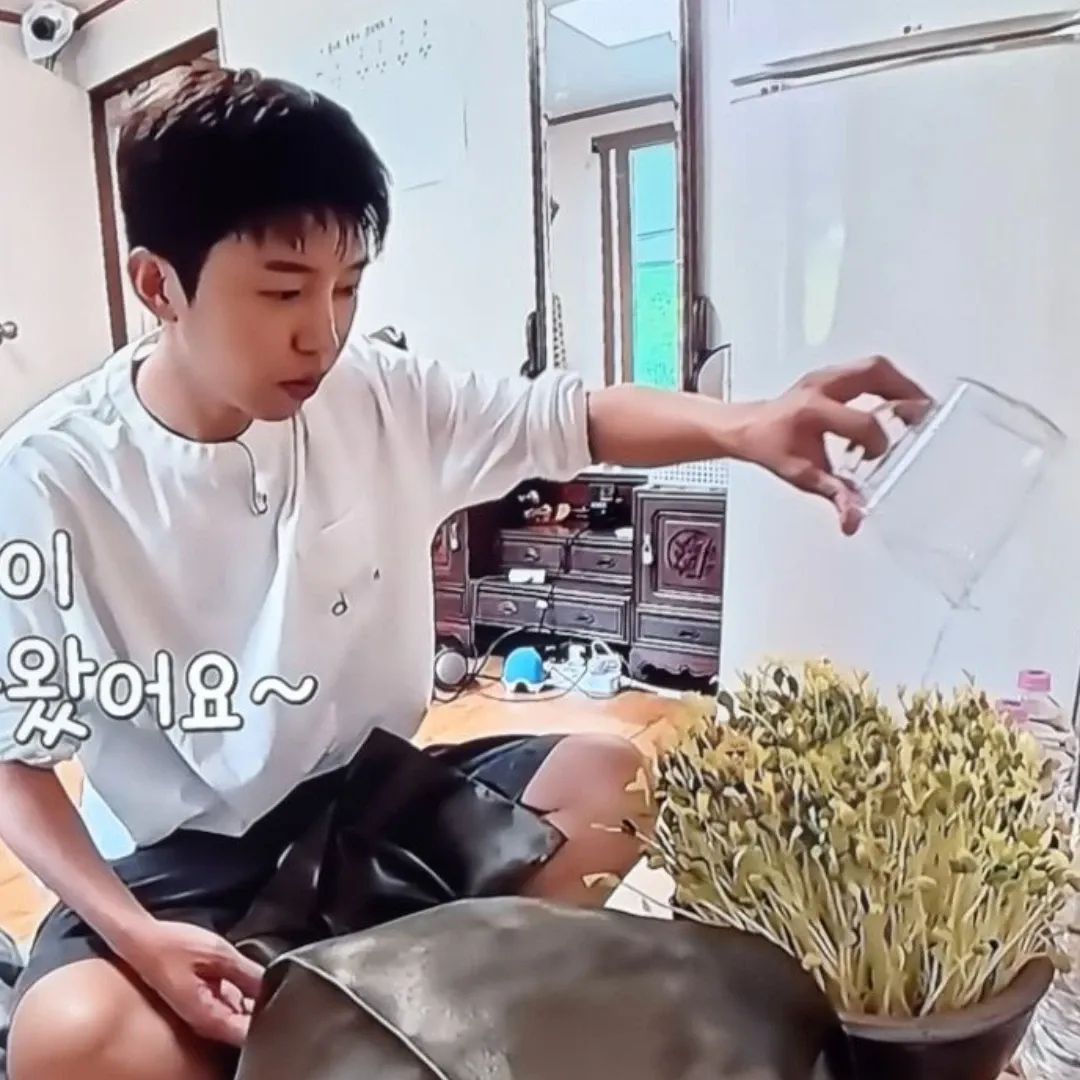 임영웅 팬이 찍은 순간