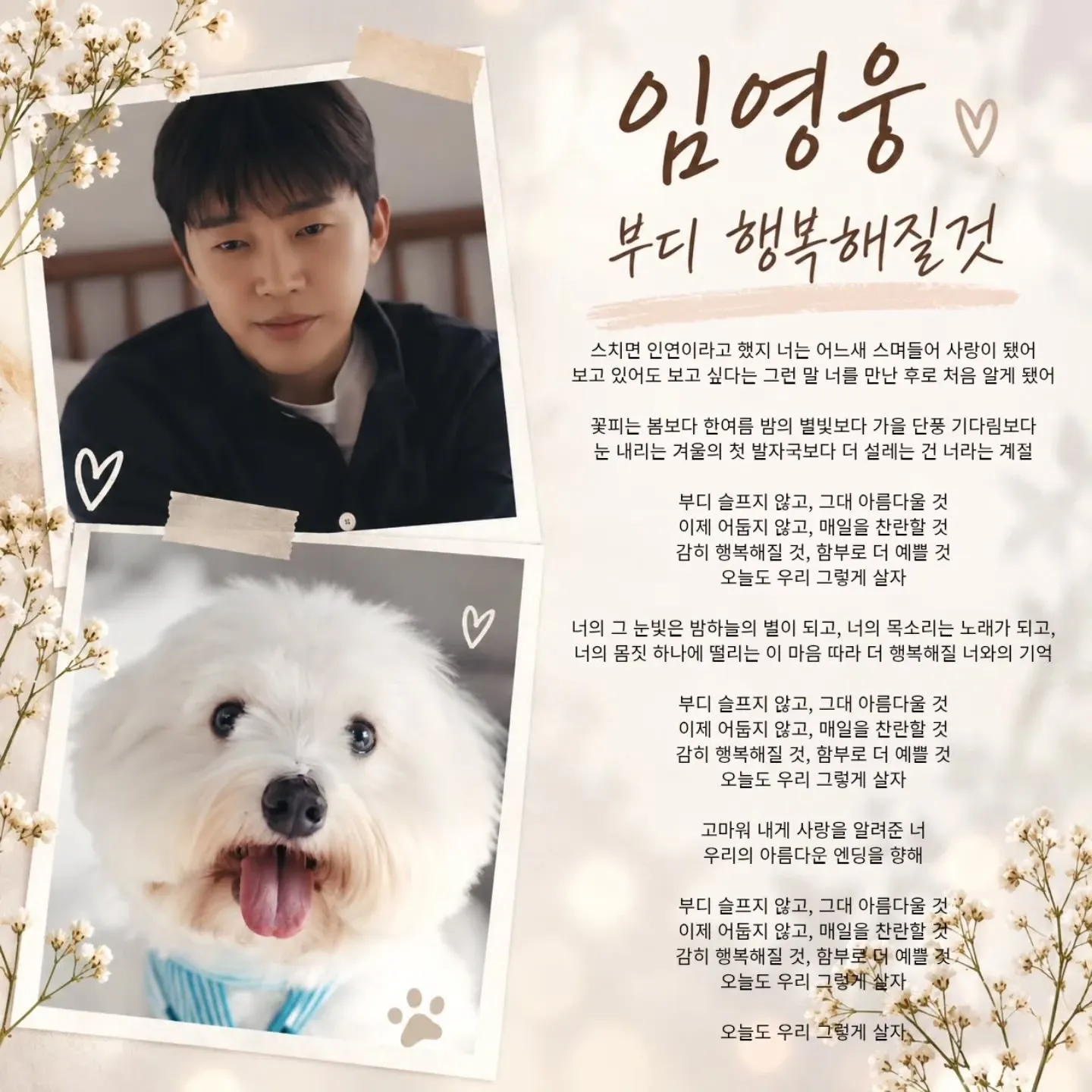 Foto kegiatan terbaru dari Lim Youngwoong