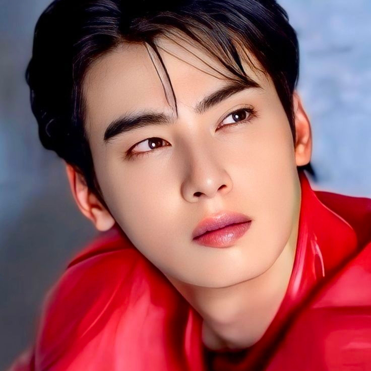 Recent activity shot of Cha Eunwoo