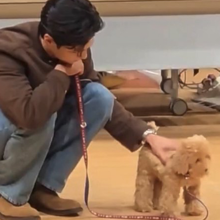 Foto kegiatan terbaru dari Park Bogum