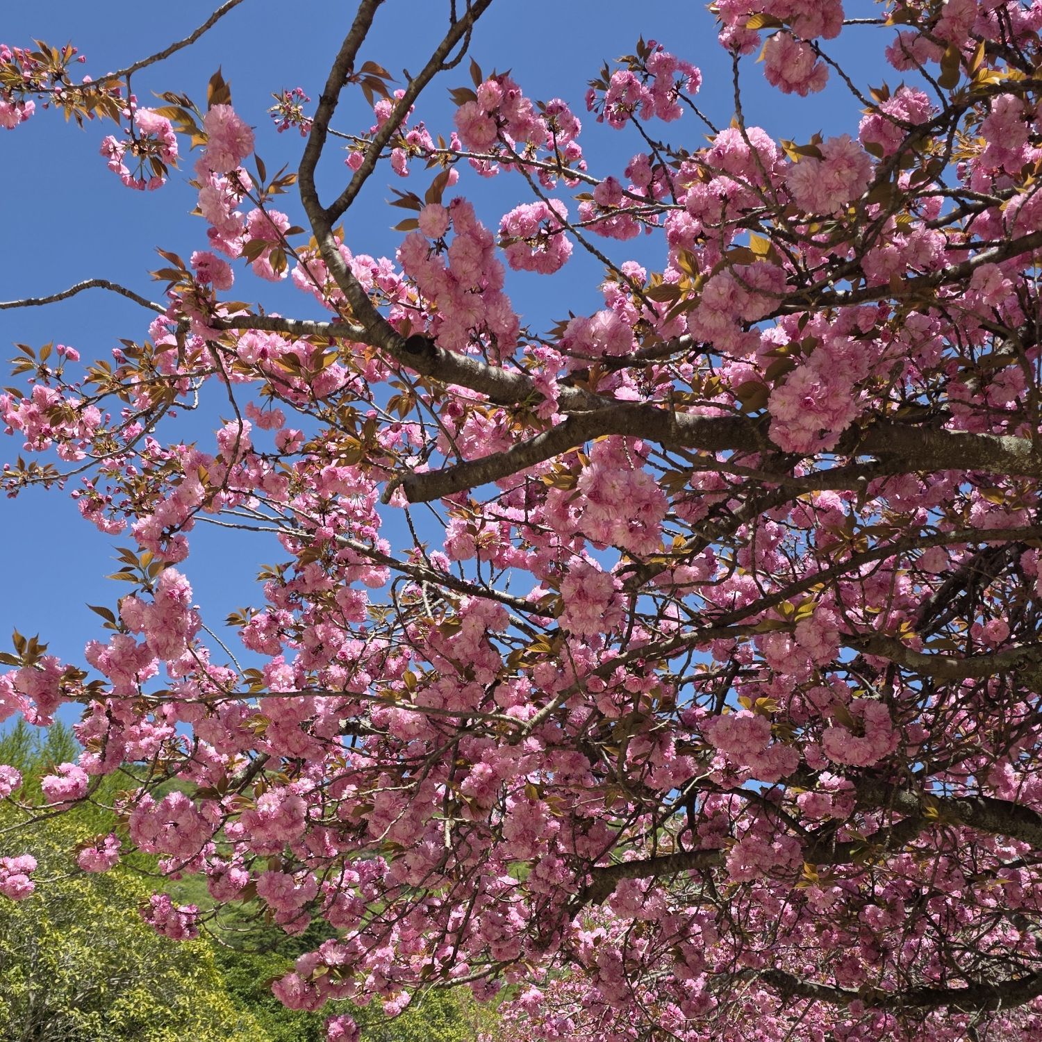 A moment captured by a fan of Min Soohyun