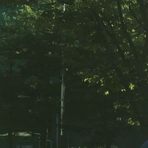 Recent activity shot of Park Seoham