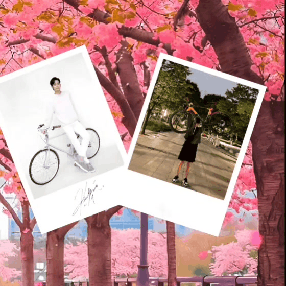 community_articles_contents