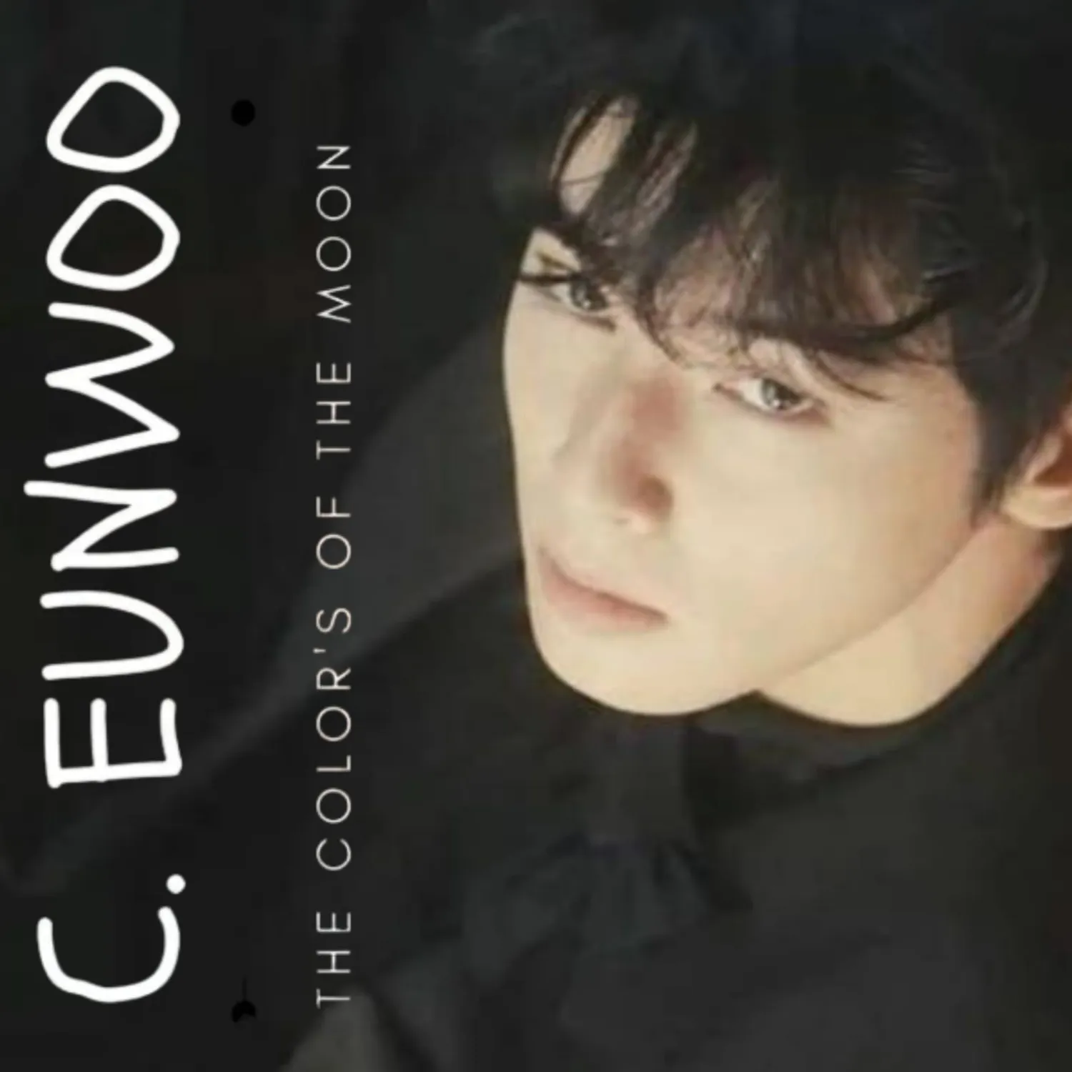 Recent activity shot of Cha Eunwoo