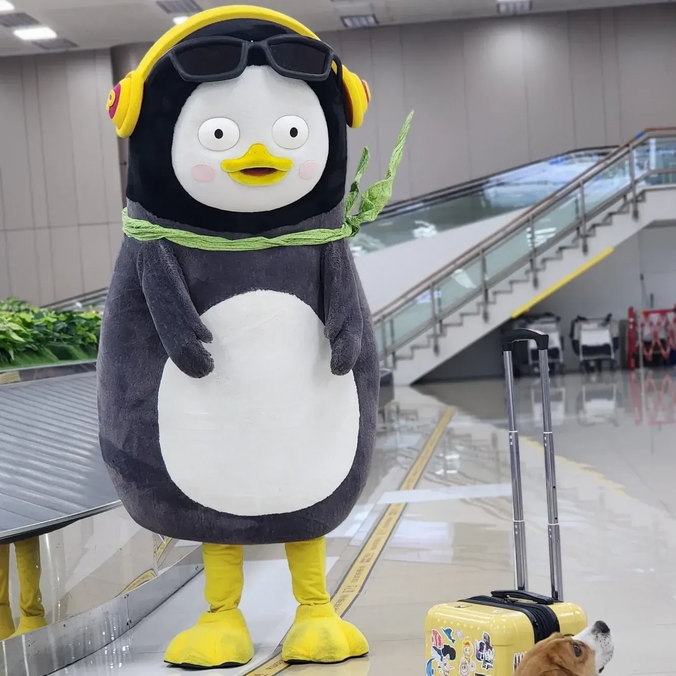 펭수의 비하인드 컷