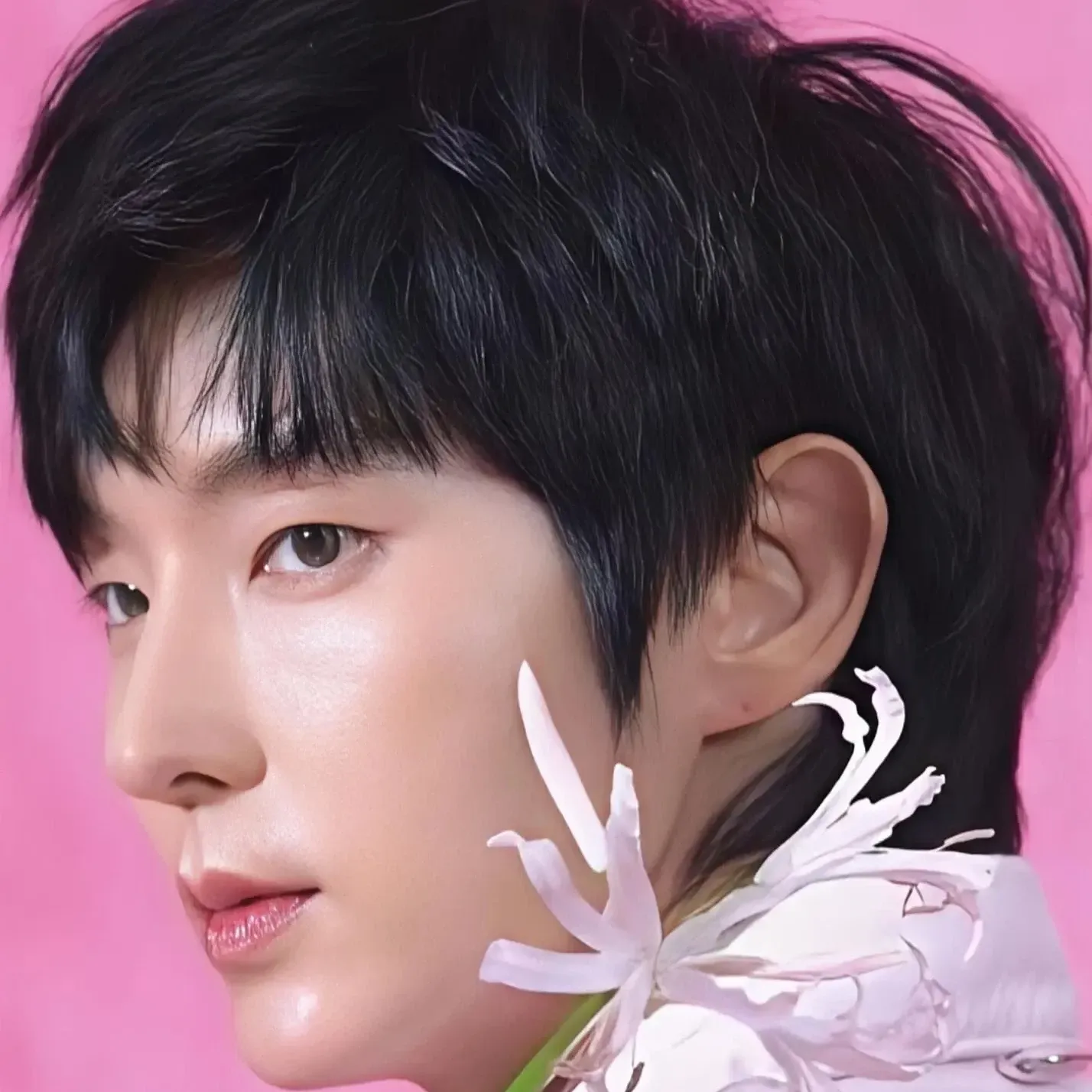 이준기 팬이 찍은 순간