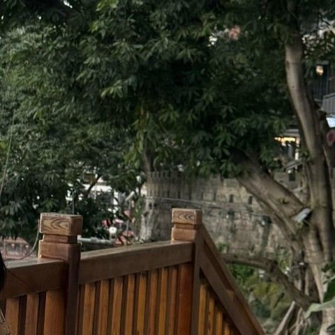 Latest photo of Bona