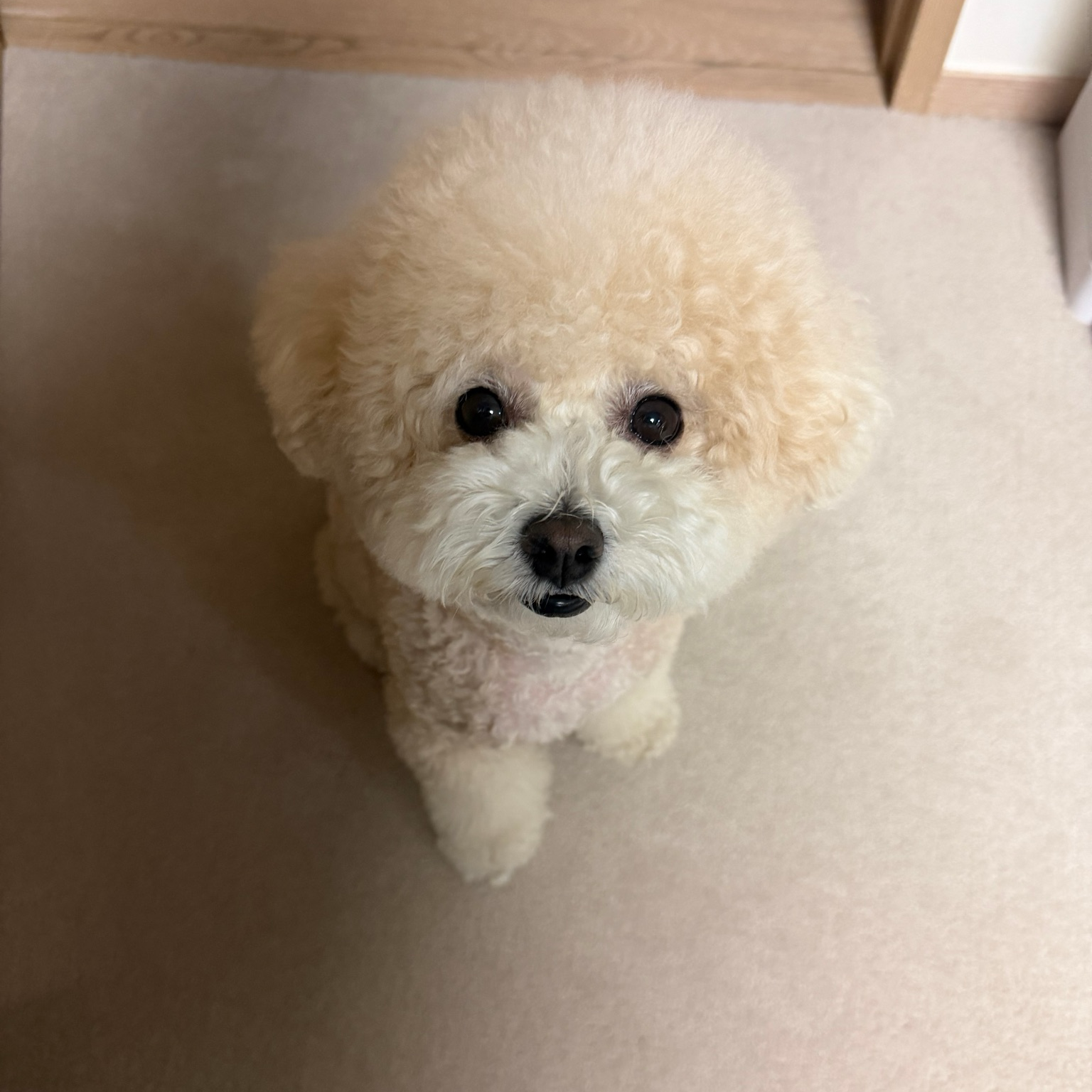 Latest photo of Kim Seonho