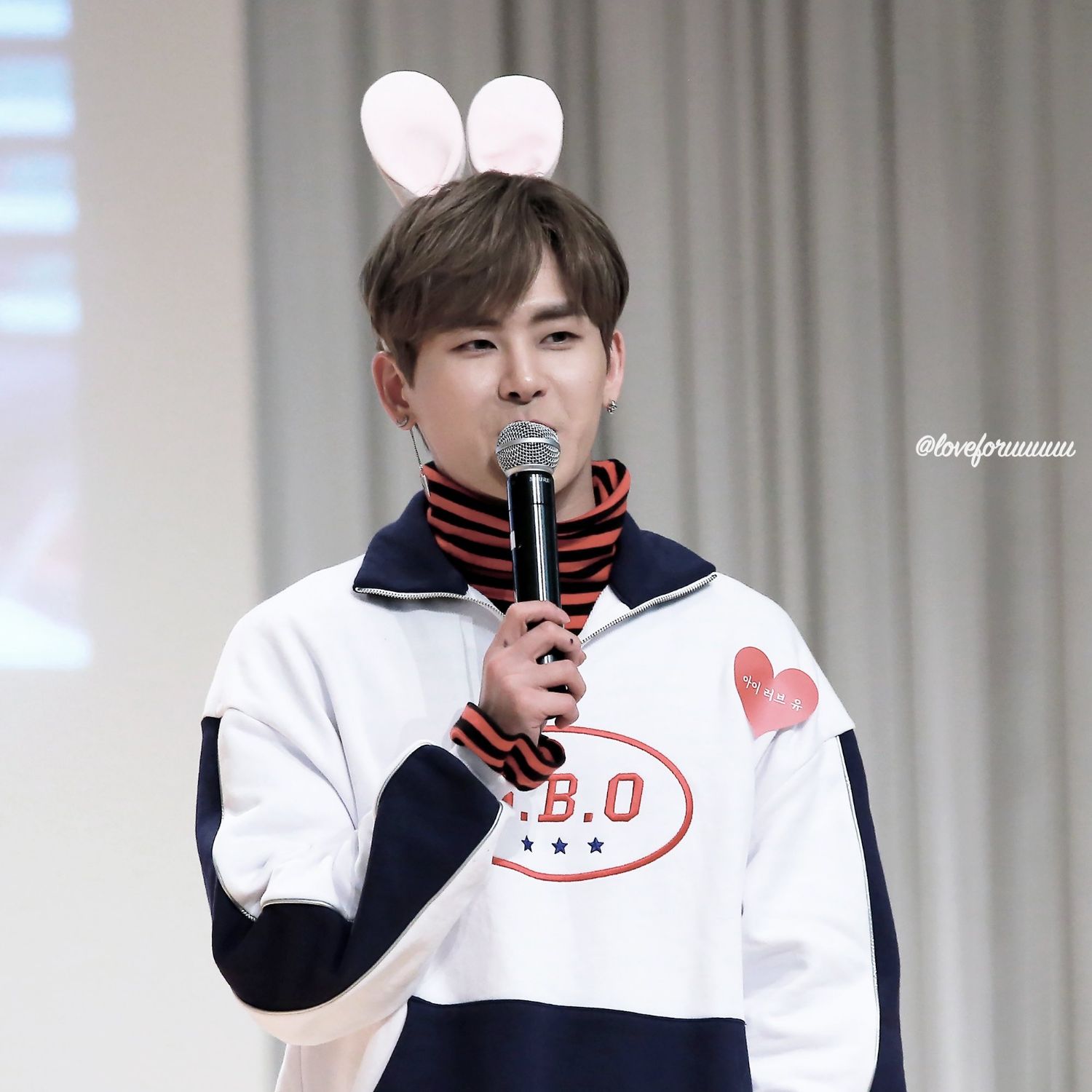 Latest photo of Hoya