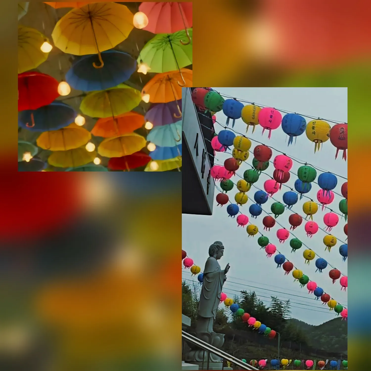 박서진의 비하인드 컷