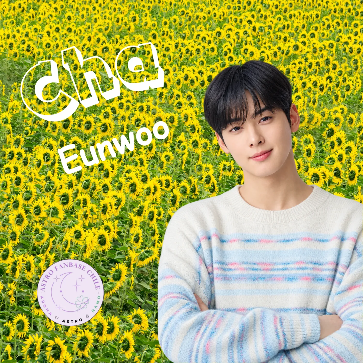 Latest photo of Cha Eunwoo