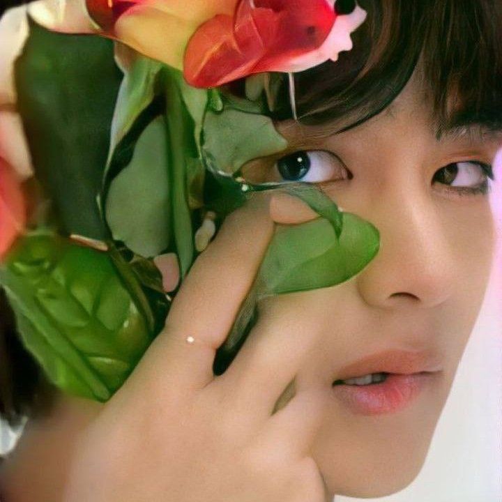 Feed komunitas selebriti terpopuler hari ini