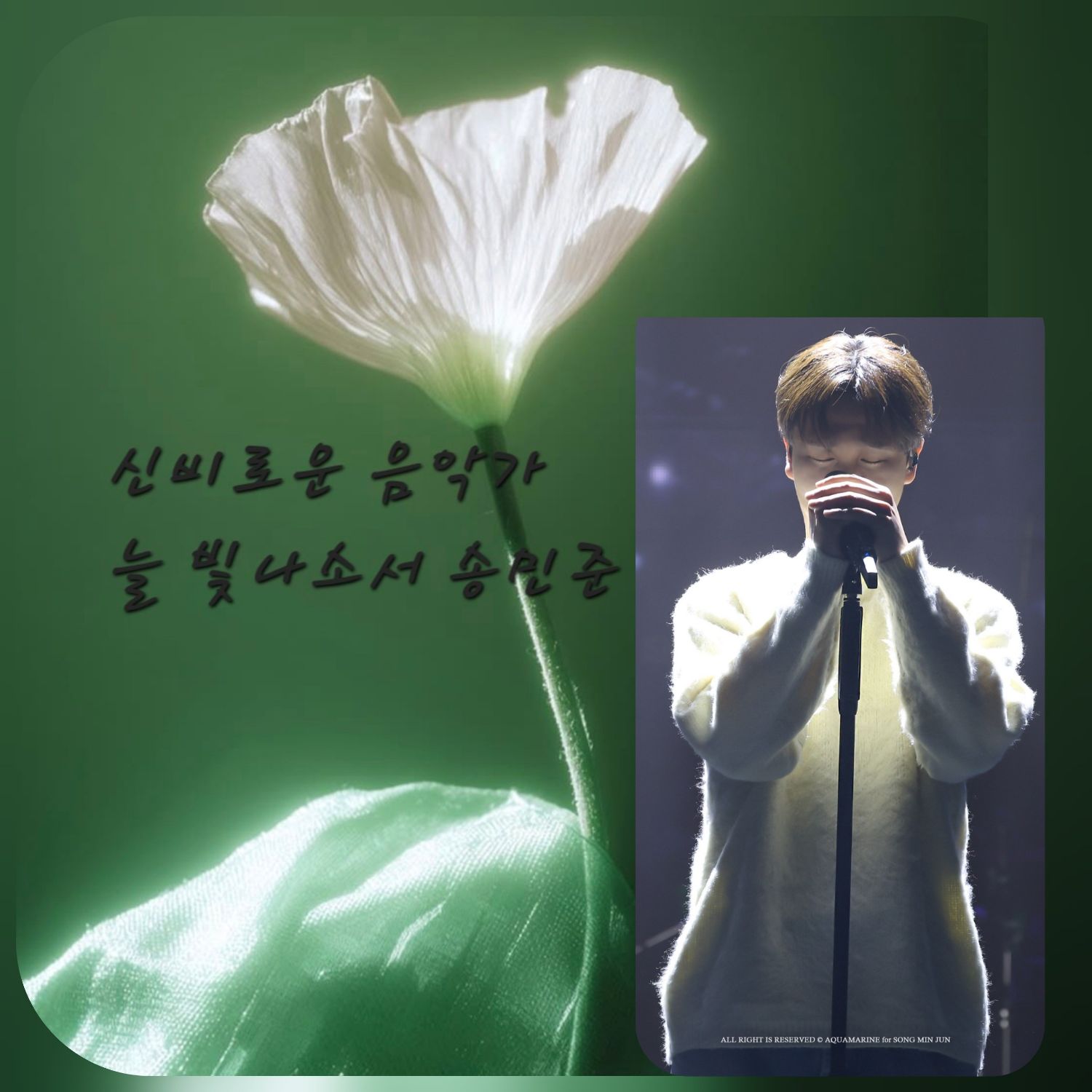 A moment captured by a fan of Song Minjun