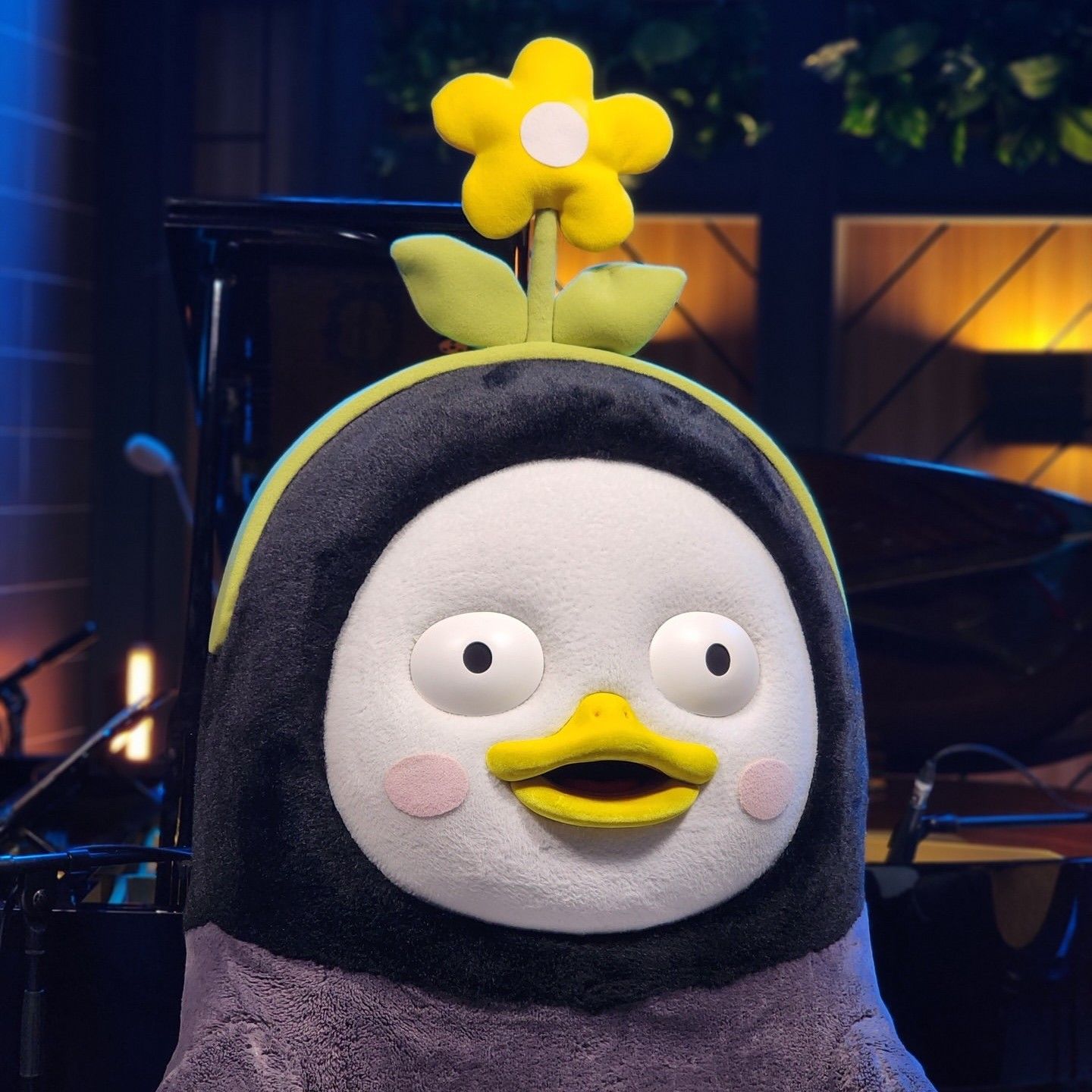 朋秀的最新照片