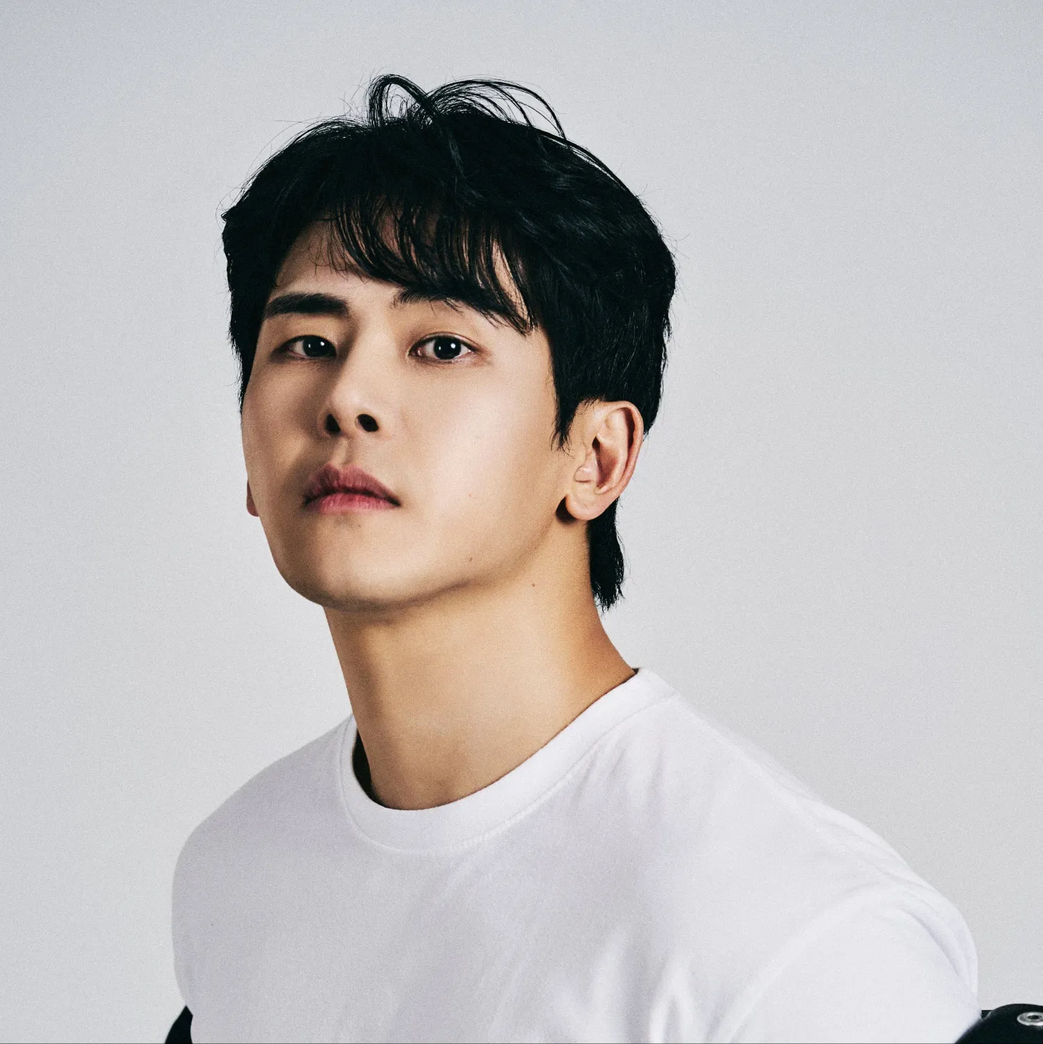 Latest photo of Hoya