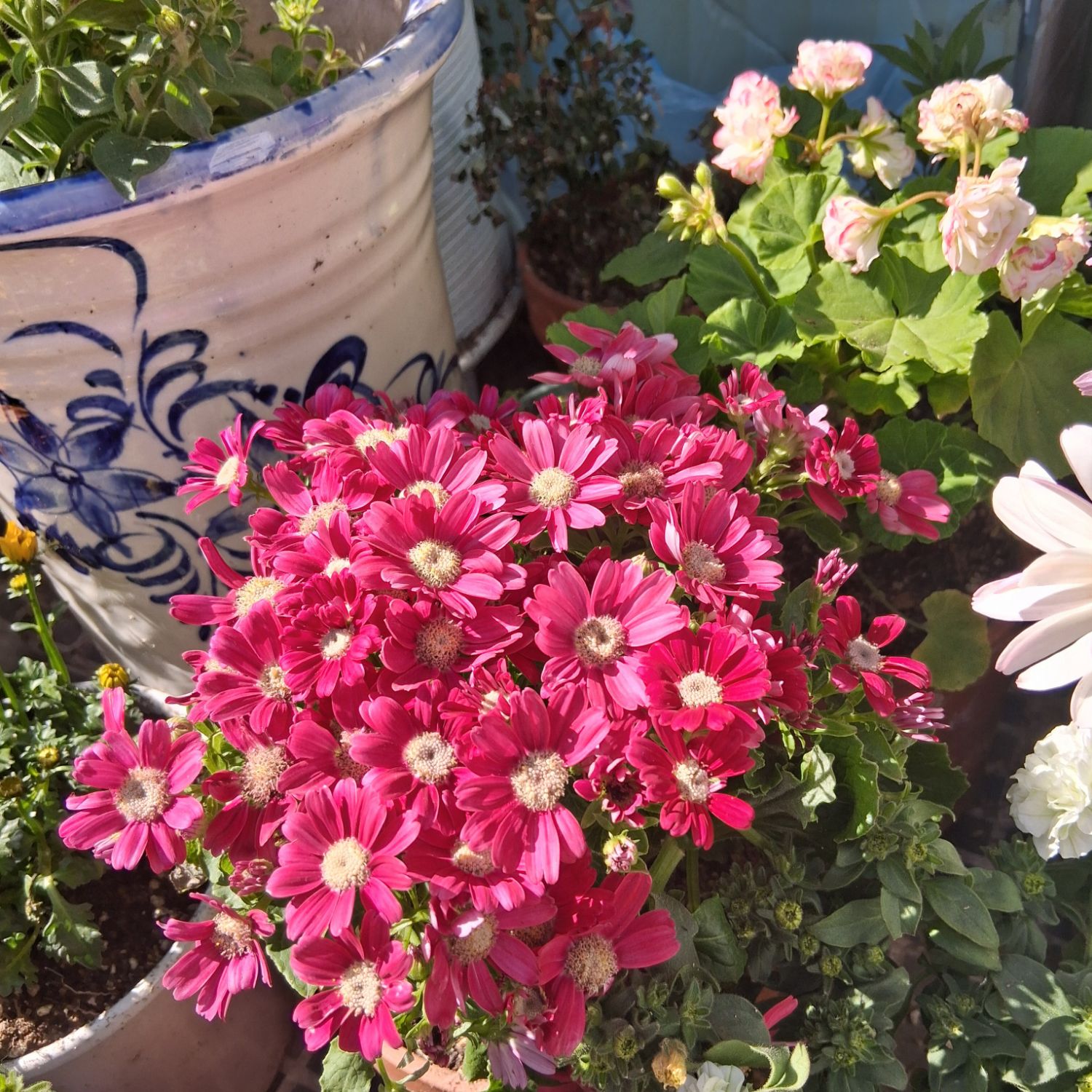 Latest photo of Lee Sooyeon