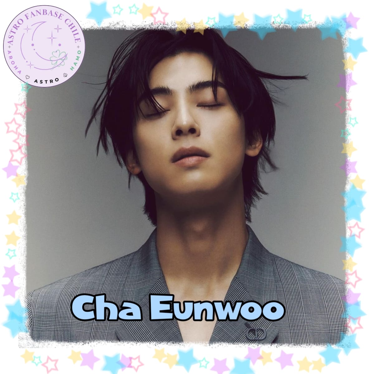 ファンが撮影したチャ・ウヌの瞬間