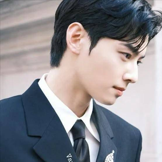 ファンが撮影したチャ・ウヌの瞬間