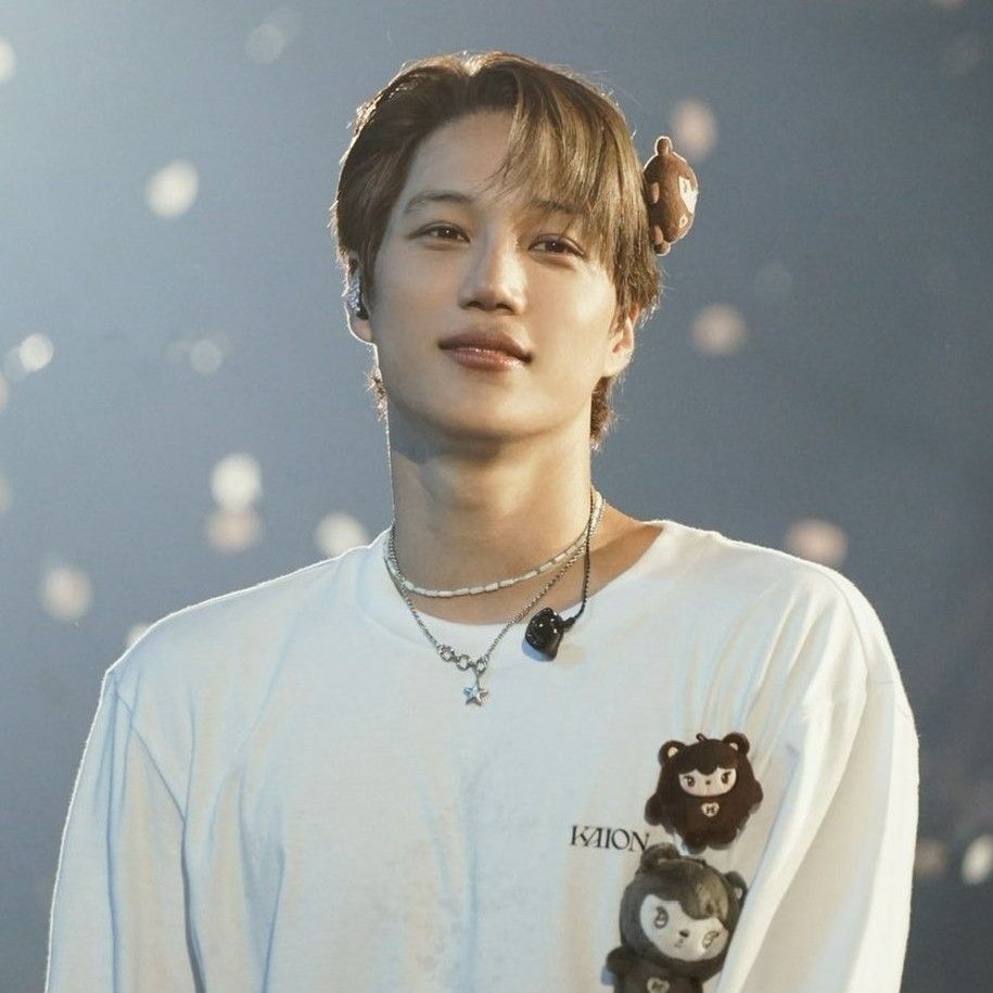 A moment captured by a fan of KAI