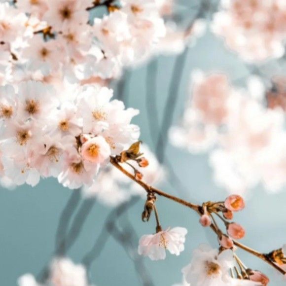 金浩中的幕後花絮