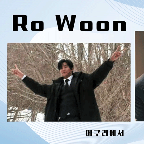 路雲的最新照片