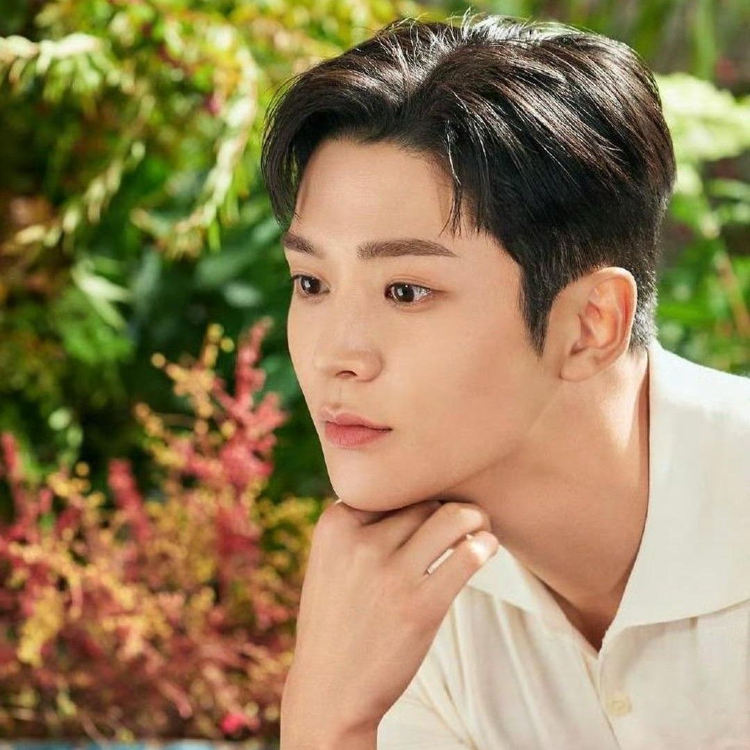 로운 최근 활동샷