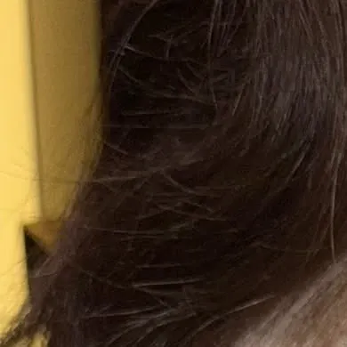 Latest photo of Bona