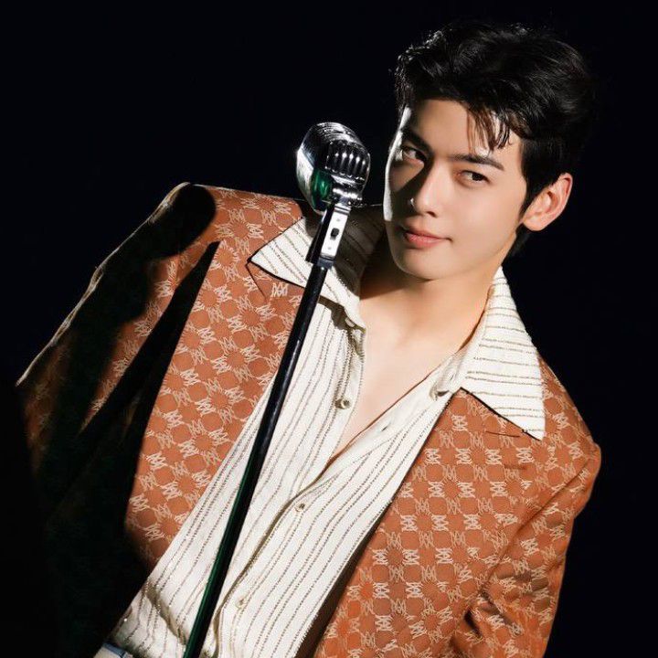 A moment captured by a fan of Cha Eunwoo