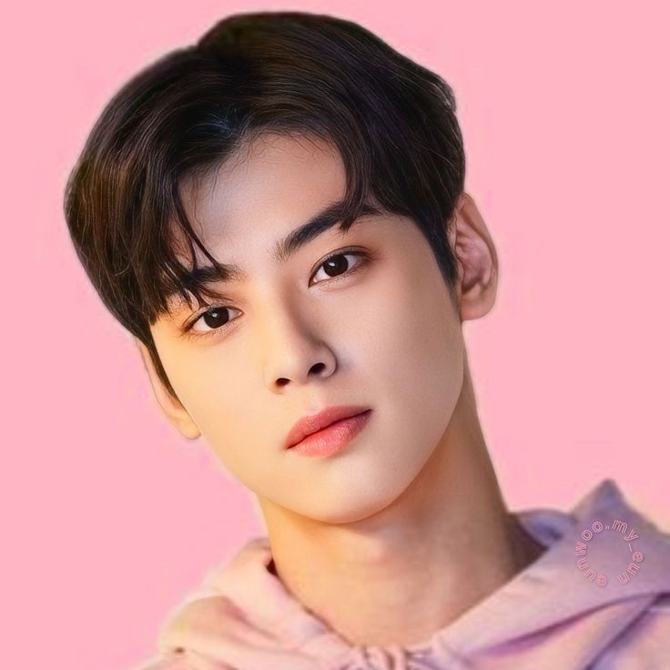 Behind-the-scenes cut of Cha Eunwoo