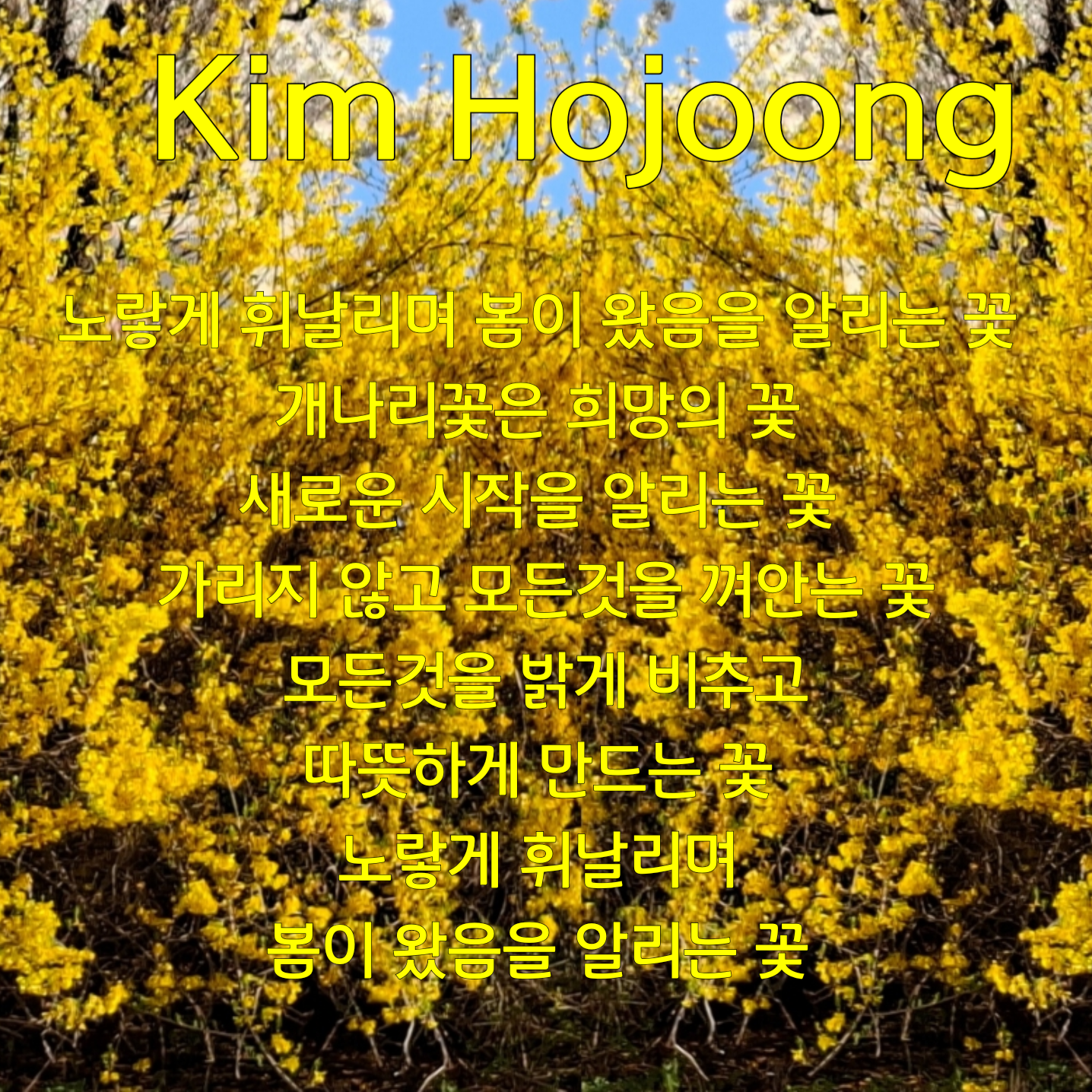 ファンが撮影したキム・ホジュンの瞬間