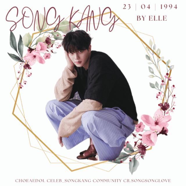 宋江的近期活動照