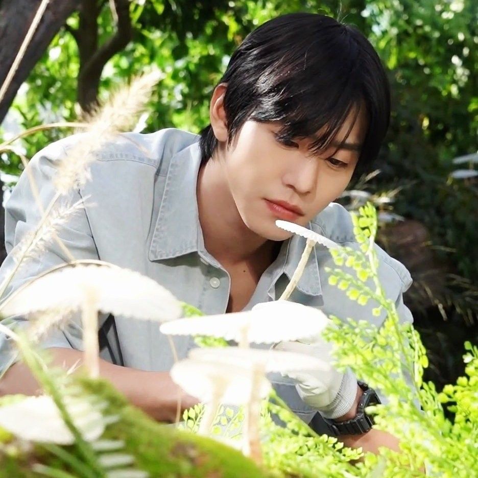 안효섭의 최신 사진