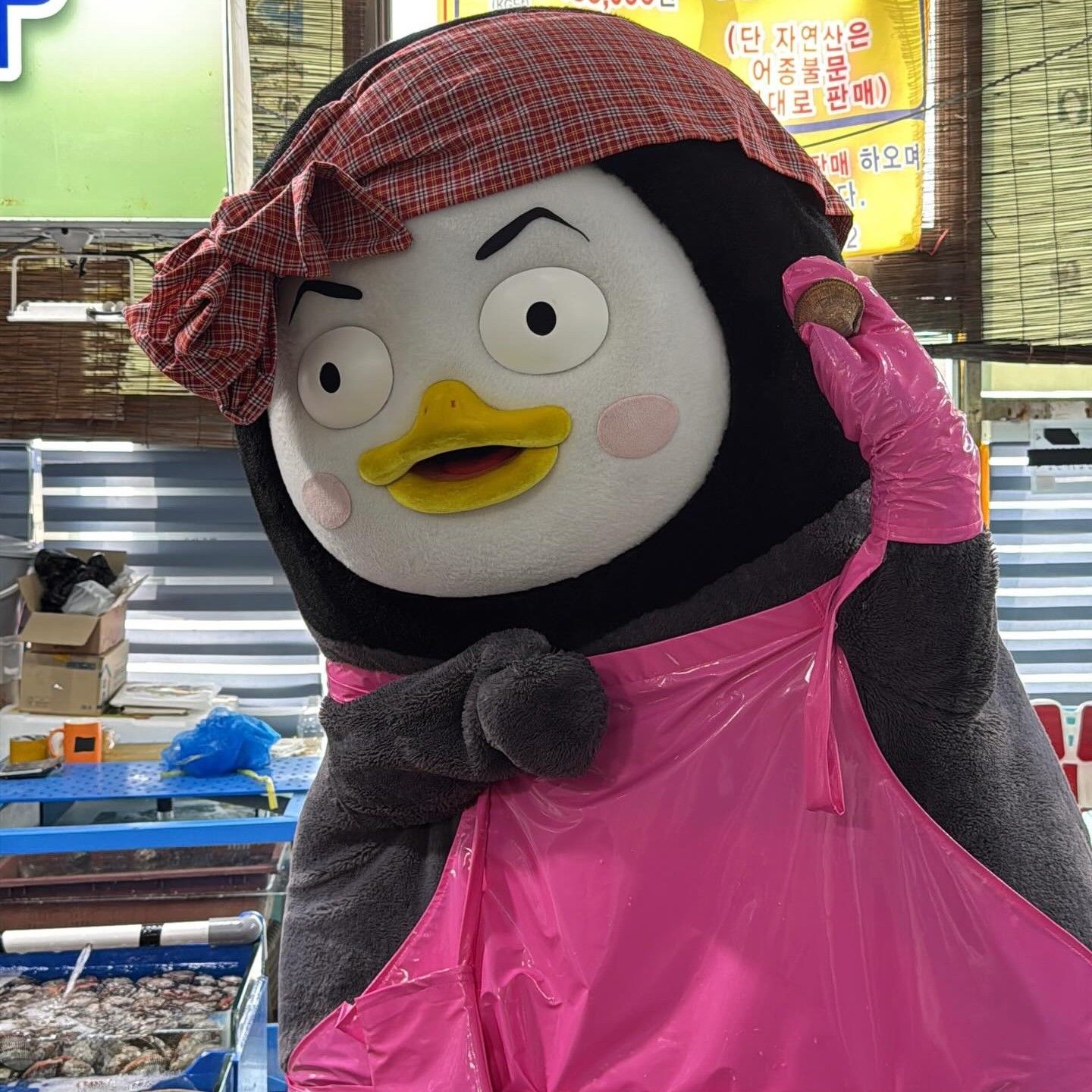 朋秀的近期活動照