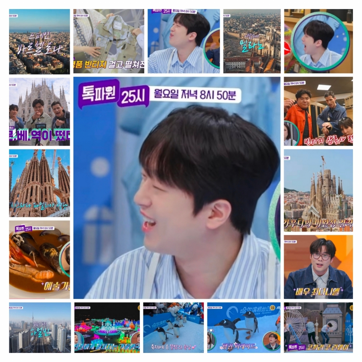 이찬원 팬이 찍은 순간