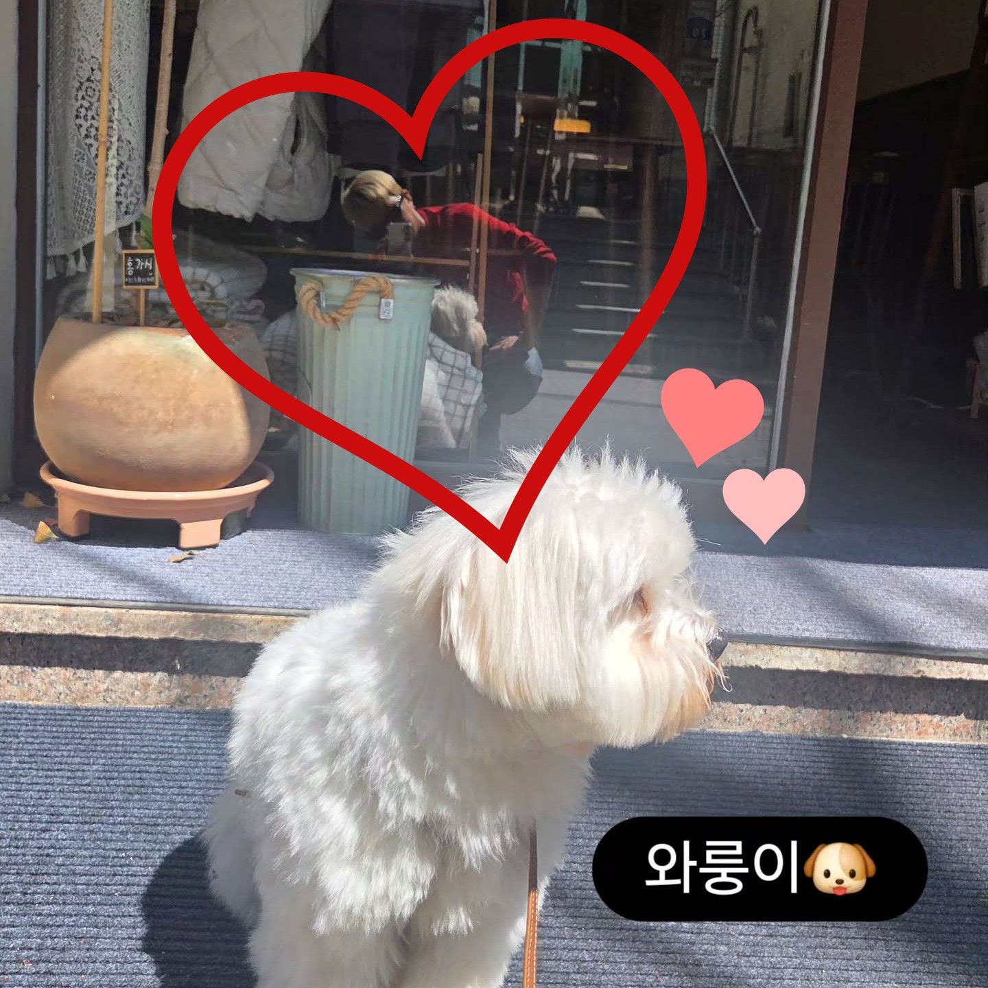 Foto terbaru dari Lim Youngwoong