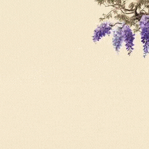 김선호의 비하인드 컷