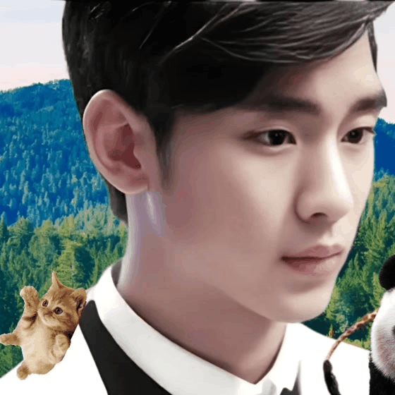 community_articles_contents