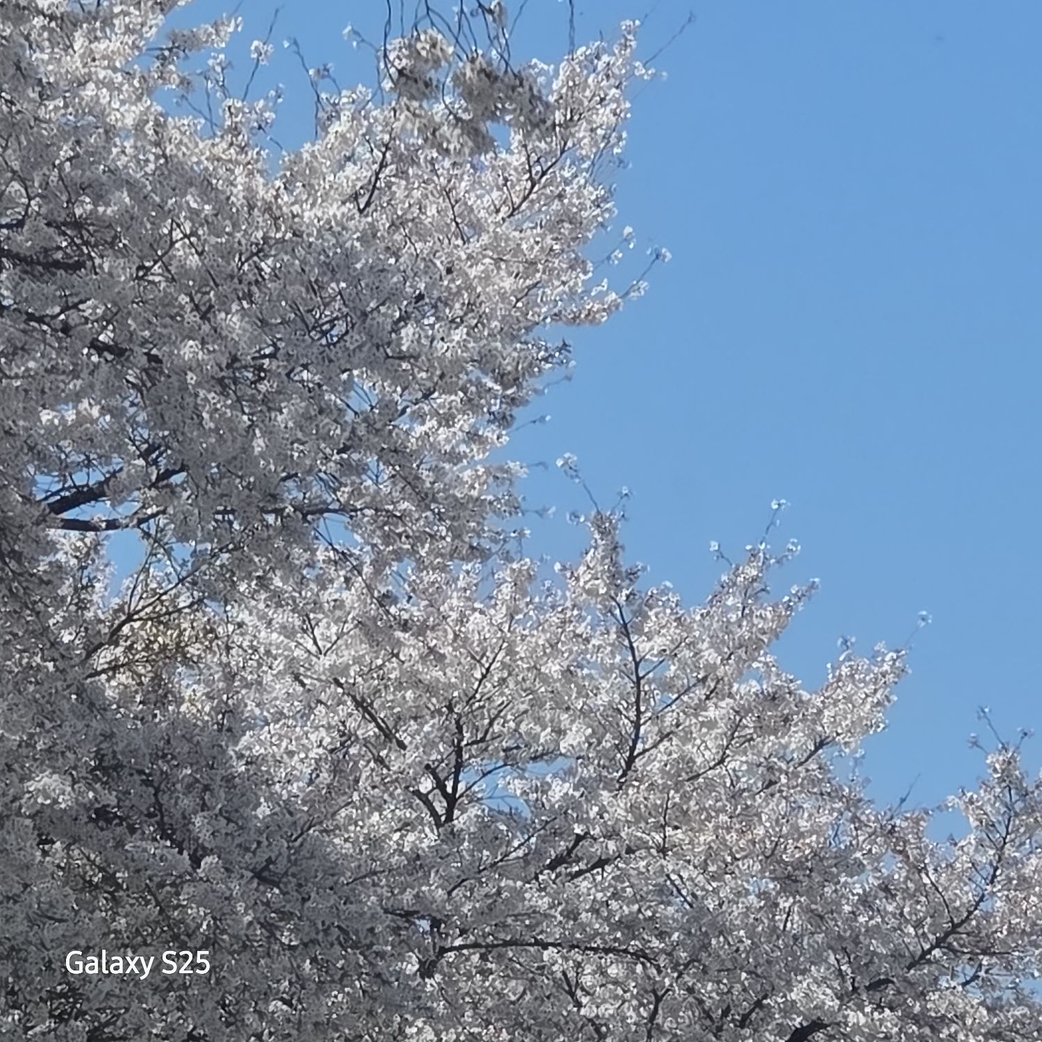 張民好的最新照片