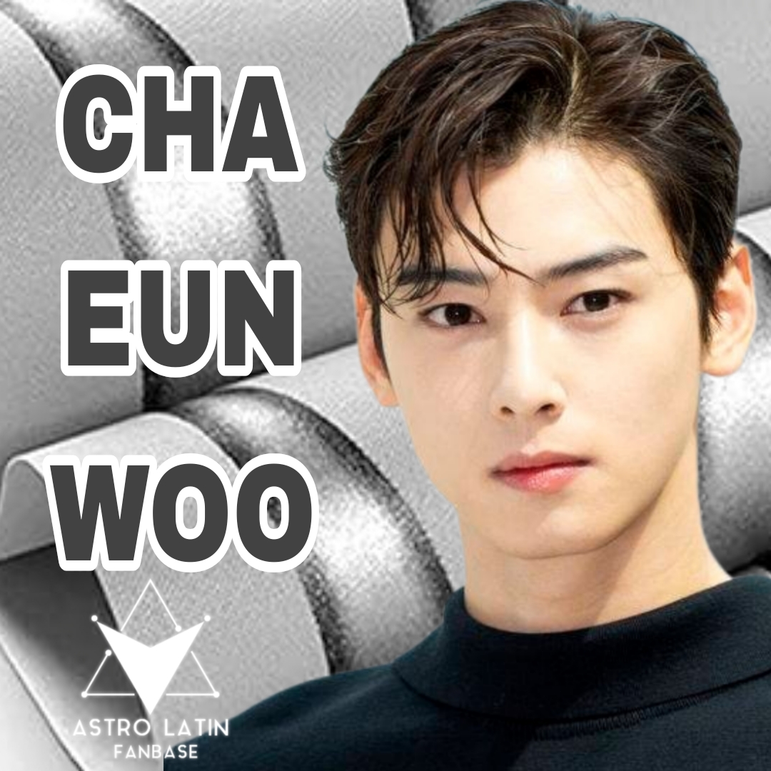 A moment captured by a fan of Cha Eunwoo