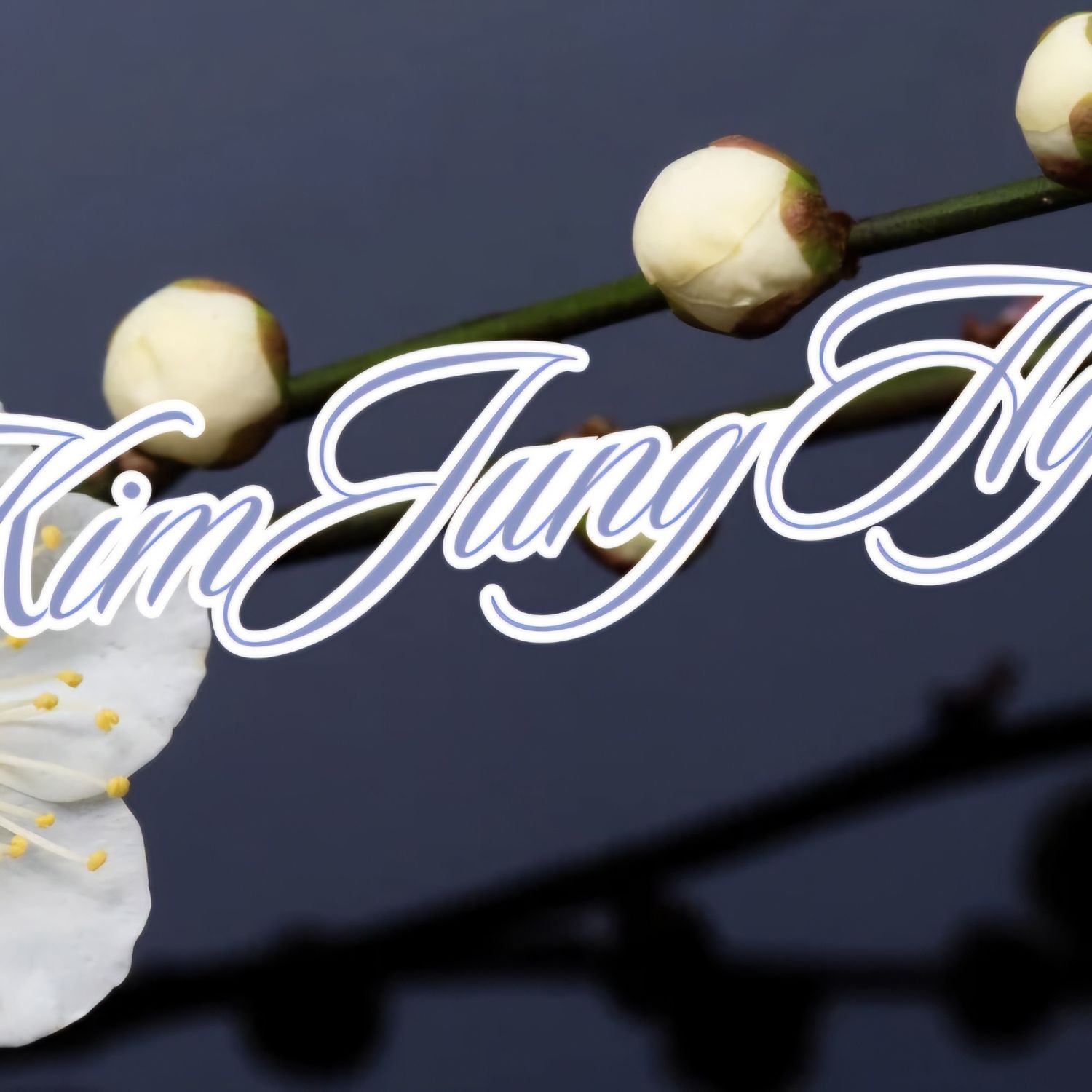 김정현 최근 활동샷