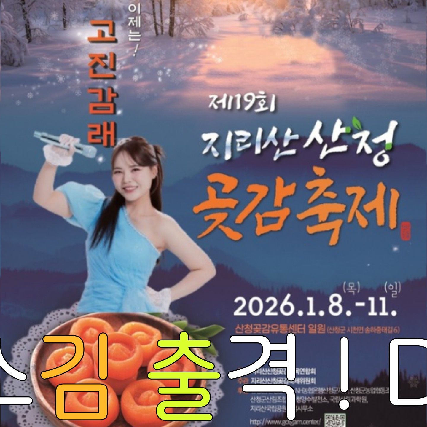 Recent activity shot of Miss Kim