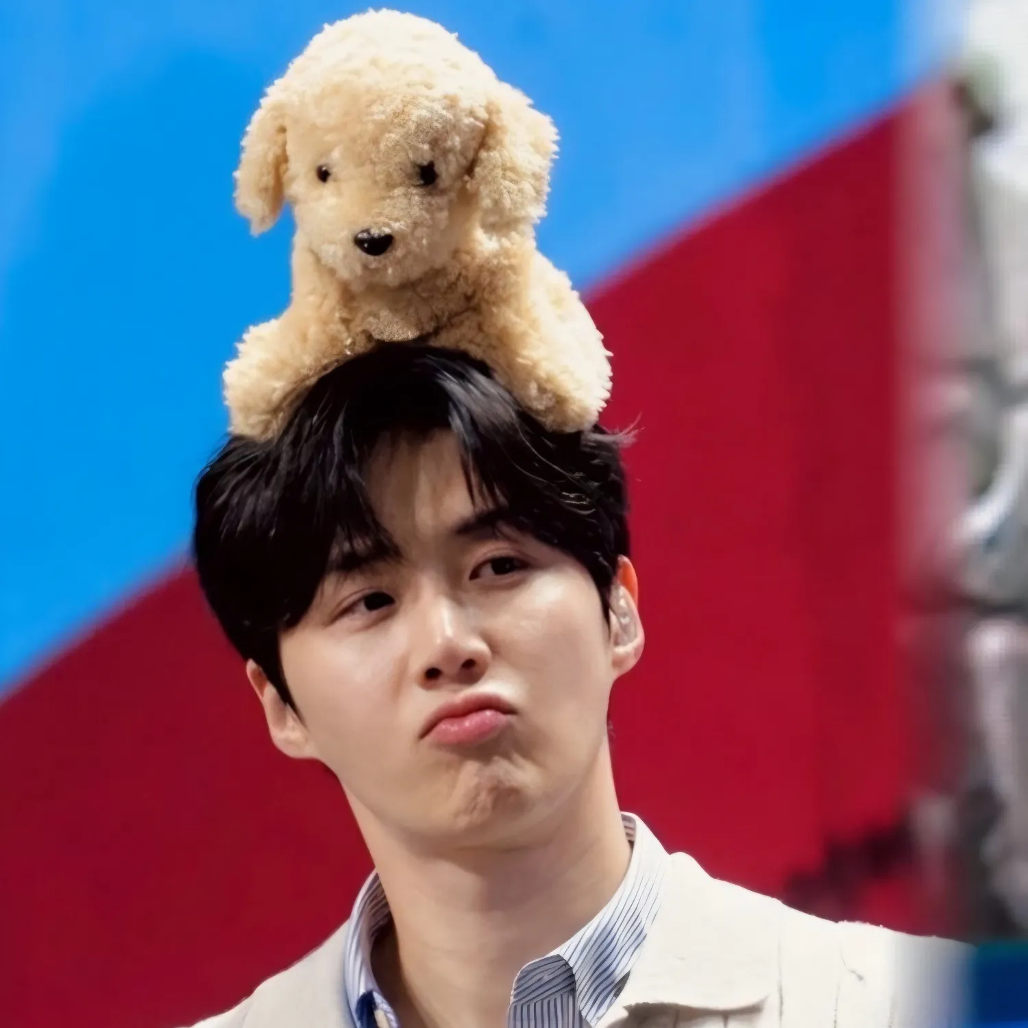 A moment captured by a fan of Kim Seonho