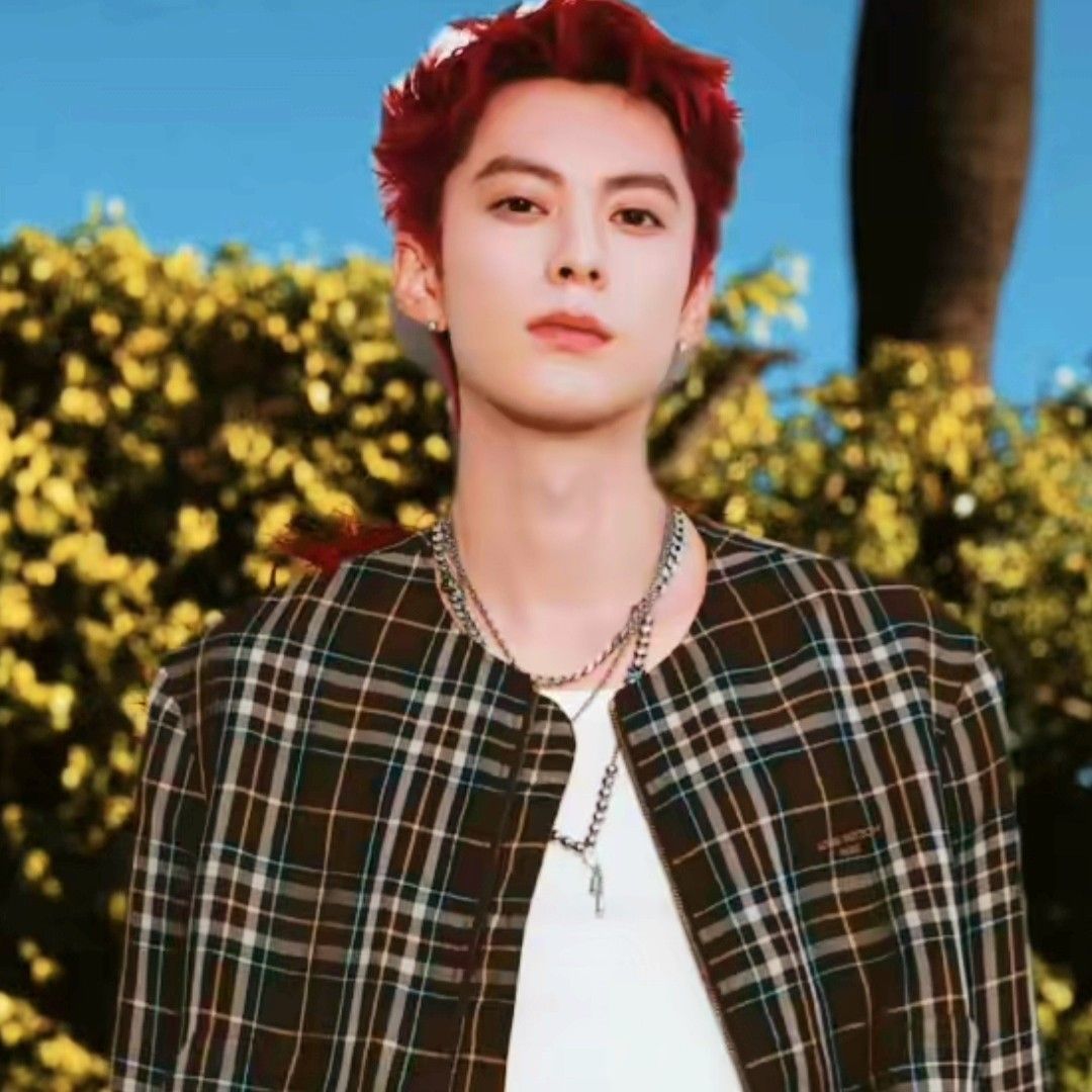 A moment captured by a fan of Dylan Wang