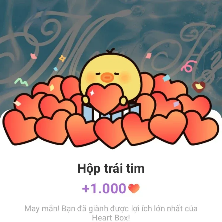 오너 최근 활동샷