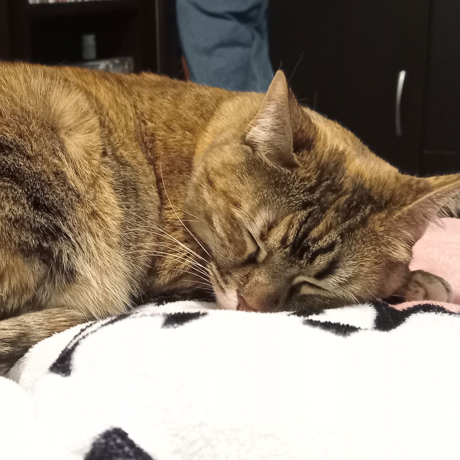 ファンが撮影したイ・ミンホの瞬間