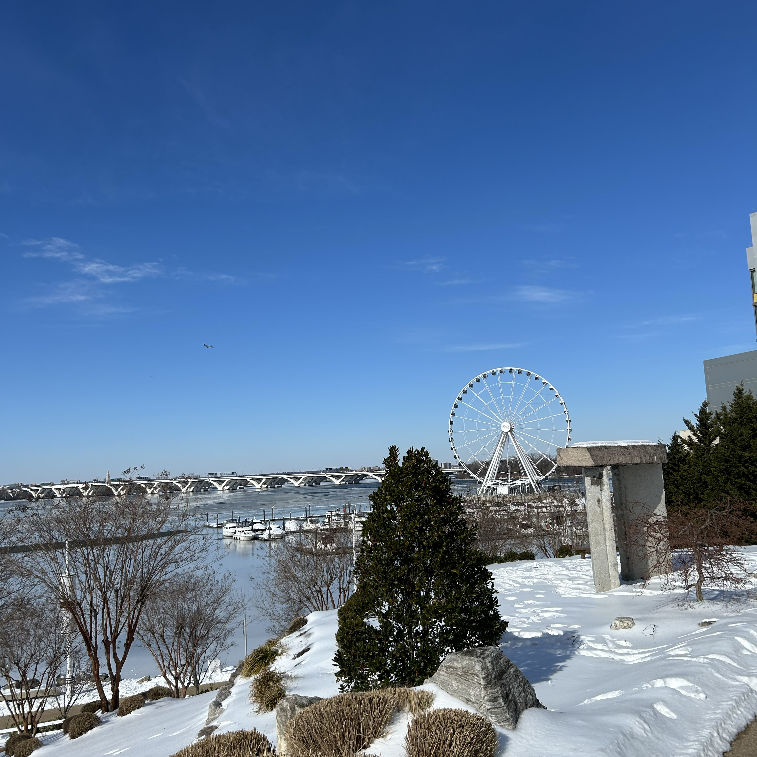 A moment captured by a fan of IU