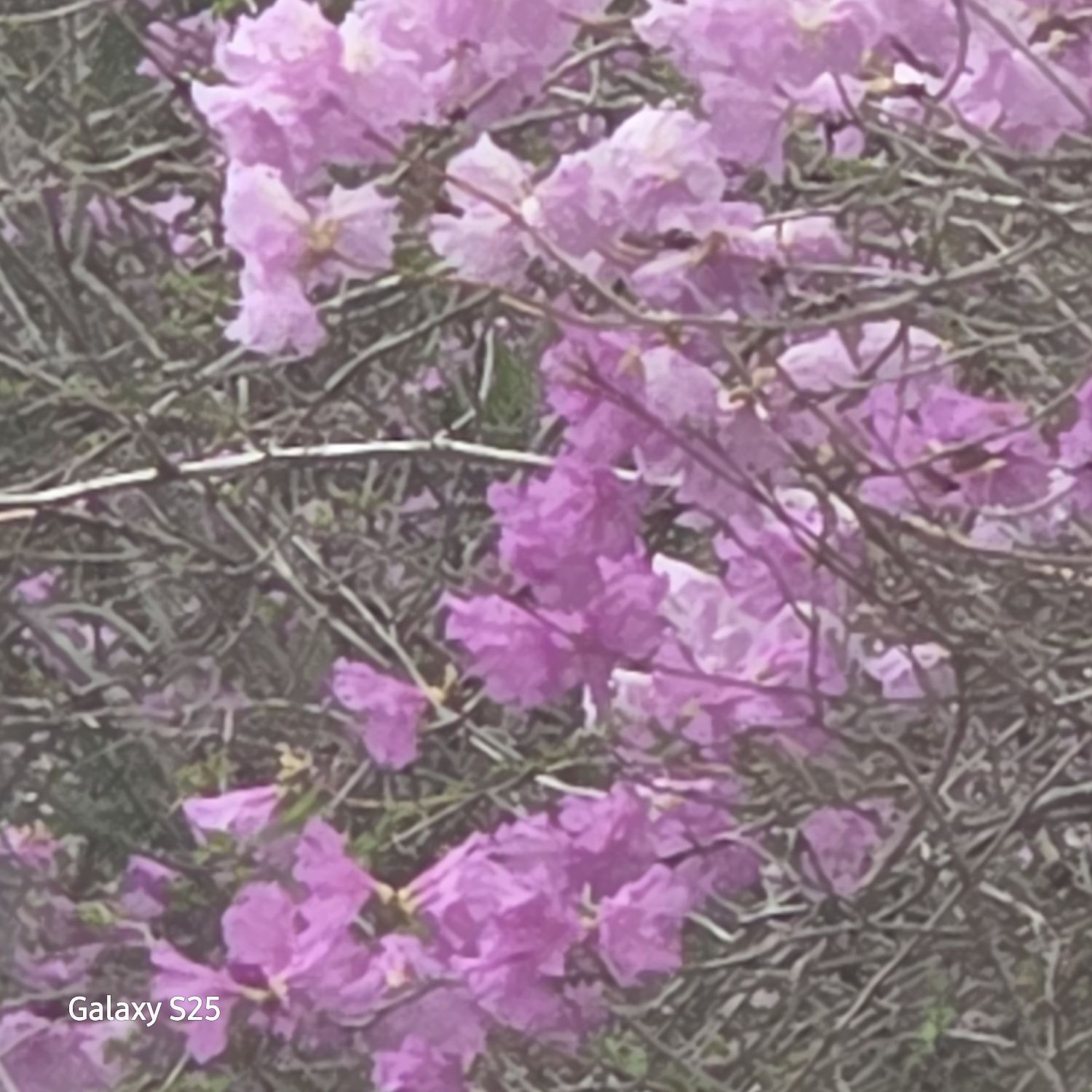 张民好的近期活动照