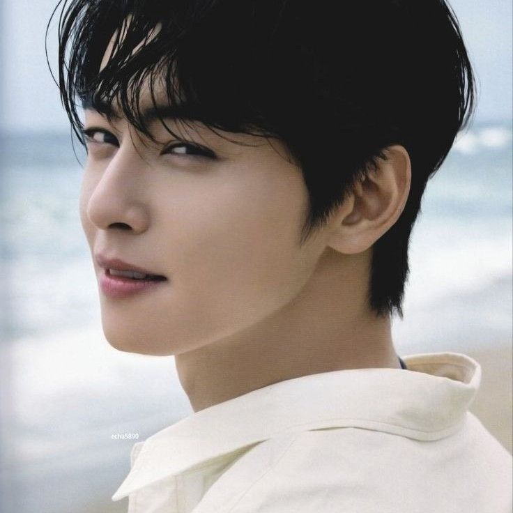 A moment captured by a fan of Cha Eunwoo